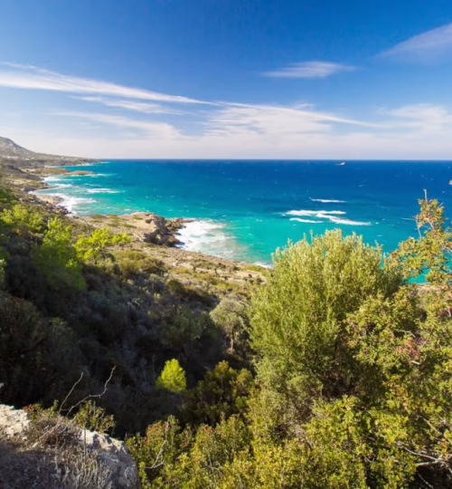 A breathtaking coastal view with lush greenery, rugged cliffs, and the vibrant turquoise waters of the Mediterranean Sea under a clear blue sky.